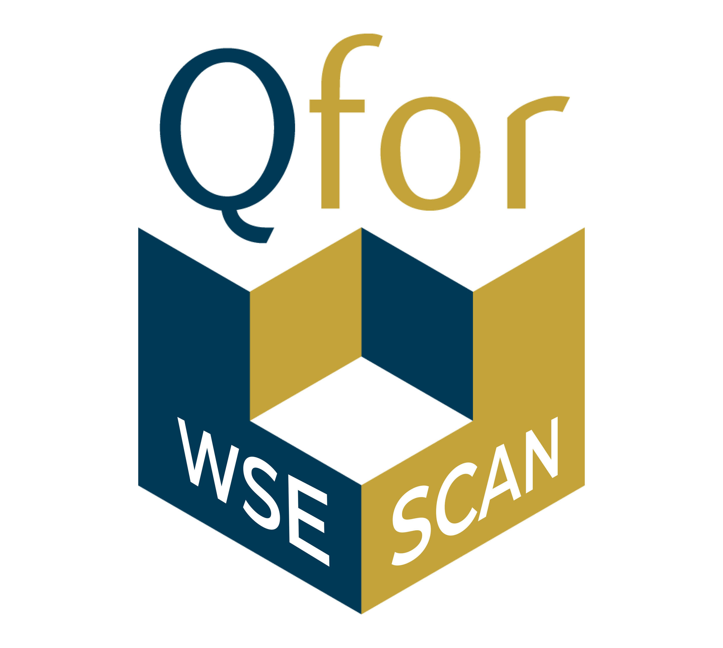 qfor-wse-scan-perspectivejpg1.jpg
